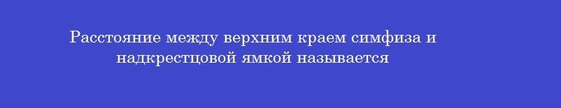 Расстояние между верхним краем симфиза и надкрестцовой ямкой называется