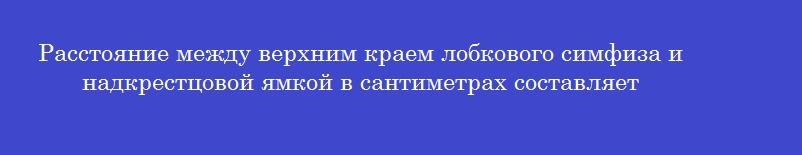 Расстояние между верхним краем лобкового симфиза и надкрестцовой ямкой в сантиметрах составляет