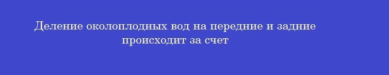 Деление околоплодных вод на передние и задние происходит за счет