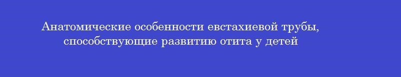 Анатомические особенности евстахиевой трубы, способствующие развитию отита у детей