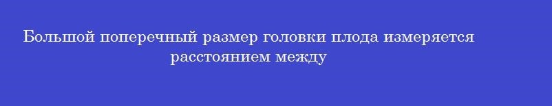 Большой поперечный размер головки плода измеряется расстоянием между Большой поперечный размер головки плода измеряется расстоянием между