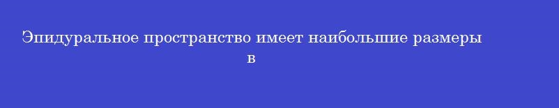 Эпидуральное пространство имеет наибольшие размеры в