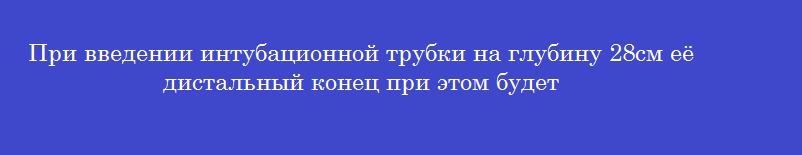 При введении интубационной трубки на глубину 28см её дистальный конец при этом будет
