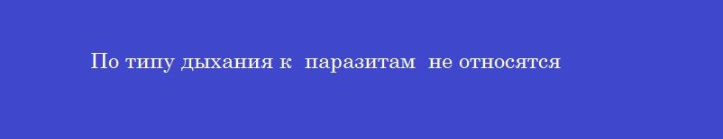 По типу дыхания к  паразитам  не относятся