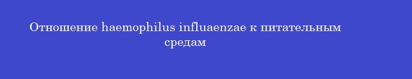 Отношение haemophilus influaenzae к питательным средам Отношение haemophilus influaenzae к питательным средам