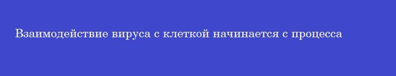 Взаимодействие вируса с клеткой начинается с процесса
