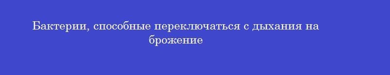 Бактерии, способные переключаться с дыхания на брожение