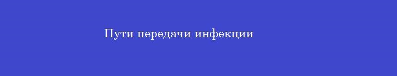 Пути передачи инфекции
