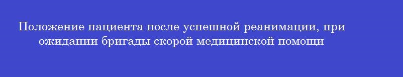 Положение пациента после успешной реанимации, при ожидании бригады скорой медицинской помощи