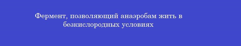 Фермент, позволяющий анаэробам жить в безкислородных условиях