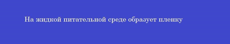 На жидкой питательной среде образует пленку
