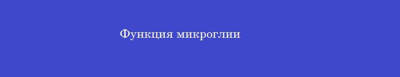Функция микроглии
