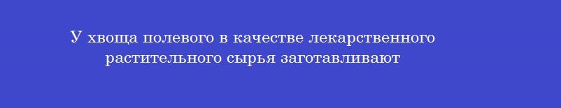 У хвоща полевого в качестве лекарственного растительного сырья заготавливают