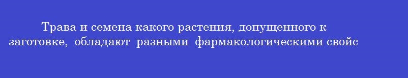 Трава и семена какого растения, допущенного к заготовке, обладают разными фармакологическими свойствами