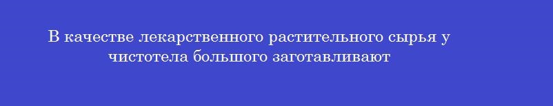 В качестве лекарственного растительного сырья у чистотела большого заготавливают