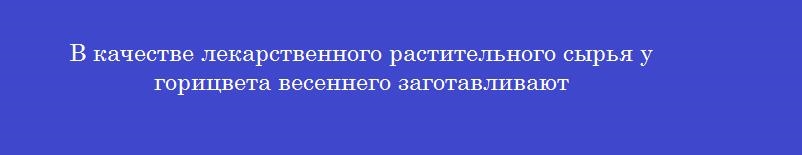В качестве лекарственного растительного сырья у горицвета весеннего заготавливают