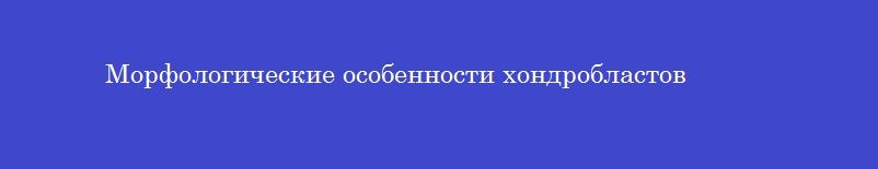 Морфологические особенности хондробластов