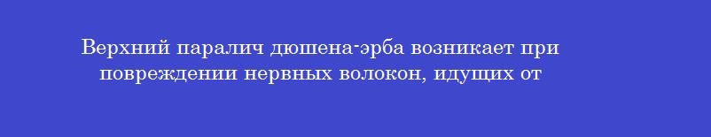 Верхний паралич дюшена-эрба возникает при повреждении нервных волокон, идущих от