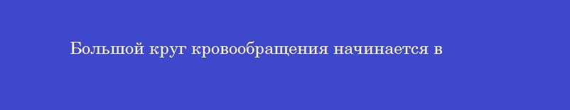 Большой круг кровообращения начинается в