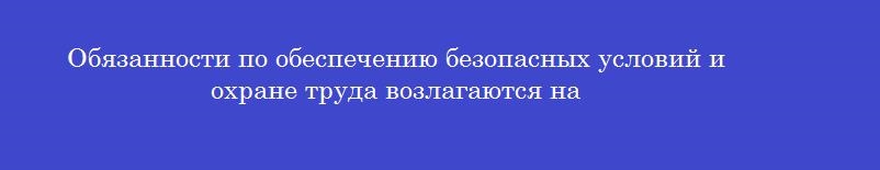 Обязанности по обеспечению безопасных условий и охране труда возлагаются на